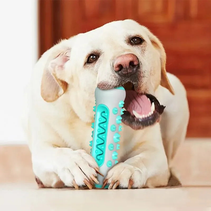 MILO Basics · Hueso Ultra Resistente Limpiador Dental